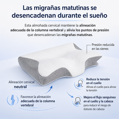 Eloura cervisoft espanol