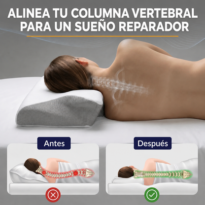 Eloura cervisoft espanol