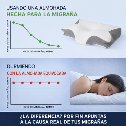 Eloura cervisoft espanol